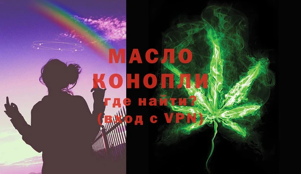 индика Нягань