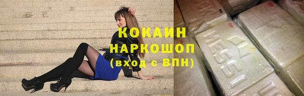 Альфа ПВП Няндома