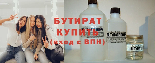 индика Нягань