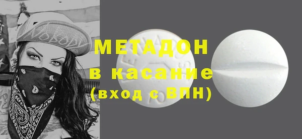 индика Нягань
