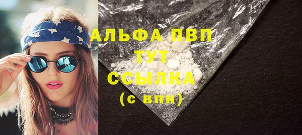 индика Нягань