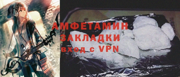 индика Нягань