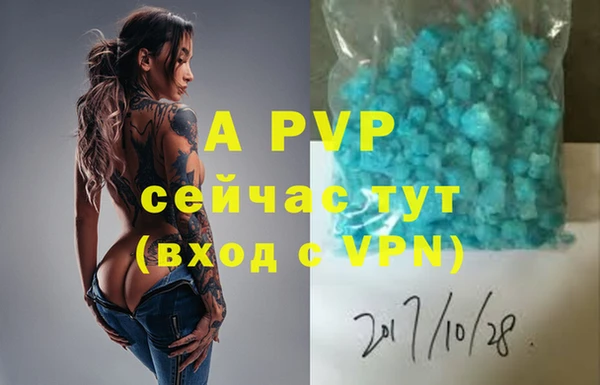 Альфа ПВП Няндома