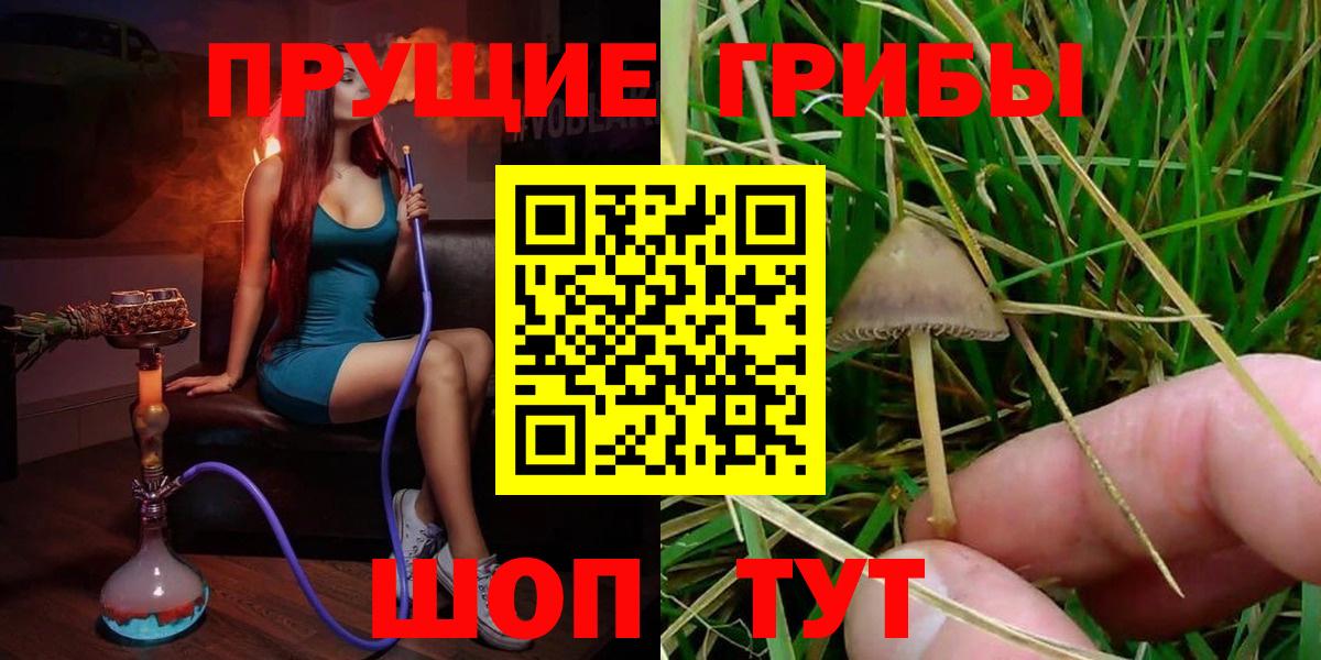 Псилоцибиновые грибы MAGIC MUSHROOMS Заинск